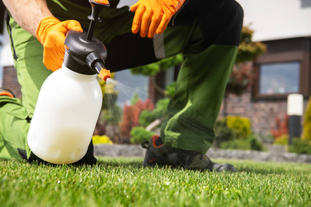 Best Mosquito Control Services  in Centerville, IN