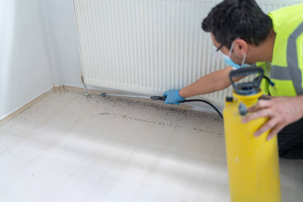 Best Affordable Exterminators  in Centerville, IN